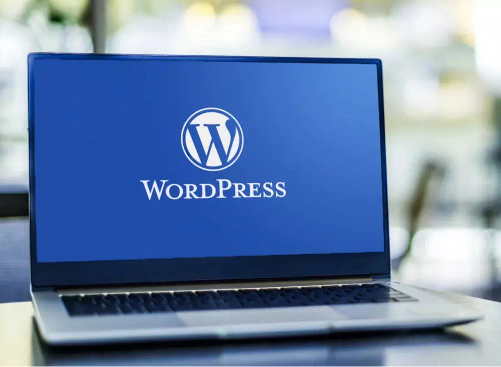 Dettagli assistenza WordPress